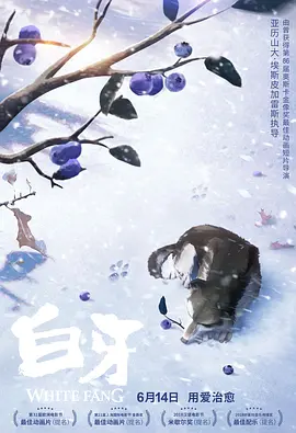 韩星Rain、鸟叔、李秉宪夫妇，日星二阶堂富美，史泰龙夫妇均出席盛典。