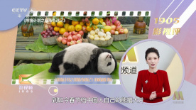 _电影策划_ 消息 首页 新闻 视频 大片 影库 CCTV6 VIP影院 搜索 电影 星闻 独家 更多 专题 图片 视频 滚动 首页 新闻 大片 影库 CCTV6 VIP影院 客户端 电影网>新闻>原创深度策划 《东极岛》的历史真相，为什么要“再说一遍”？
